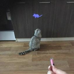 Jouet Laser Pour Chat