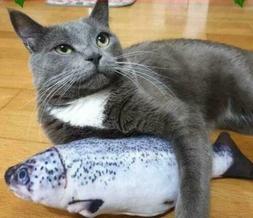 Jouet Pour Chat avec herbe &agrave; chat Poisson Cataire Saveur Me