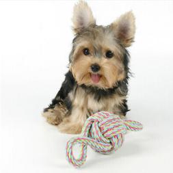 Pour Chiens Funny Cool