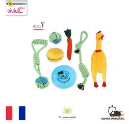 Pour Chien &agrave; M&acirc;cher Et Lancer Interactive Hygi&egrave;ne Dentair