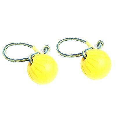 2 pcs pet chien formation jouet balle