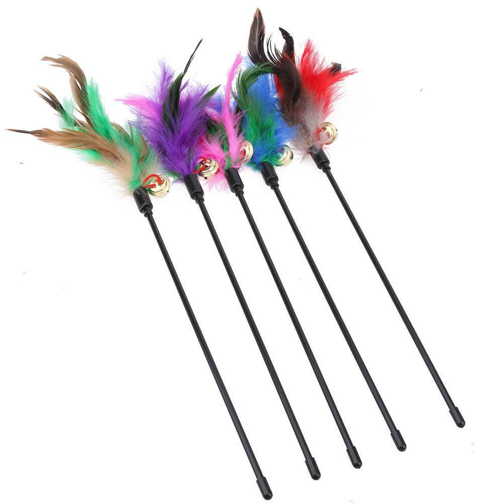 5pcs chat chaton teaser pour animaux de