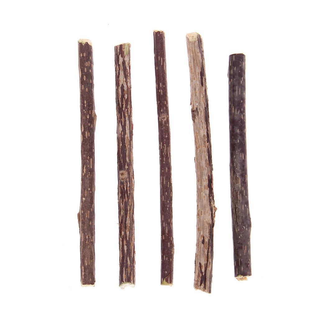 5pcs matatabi cataire naturel pour chats nettoyage