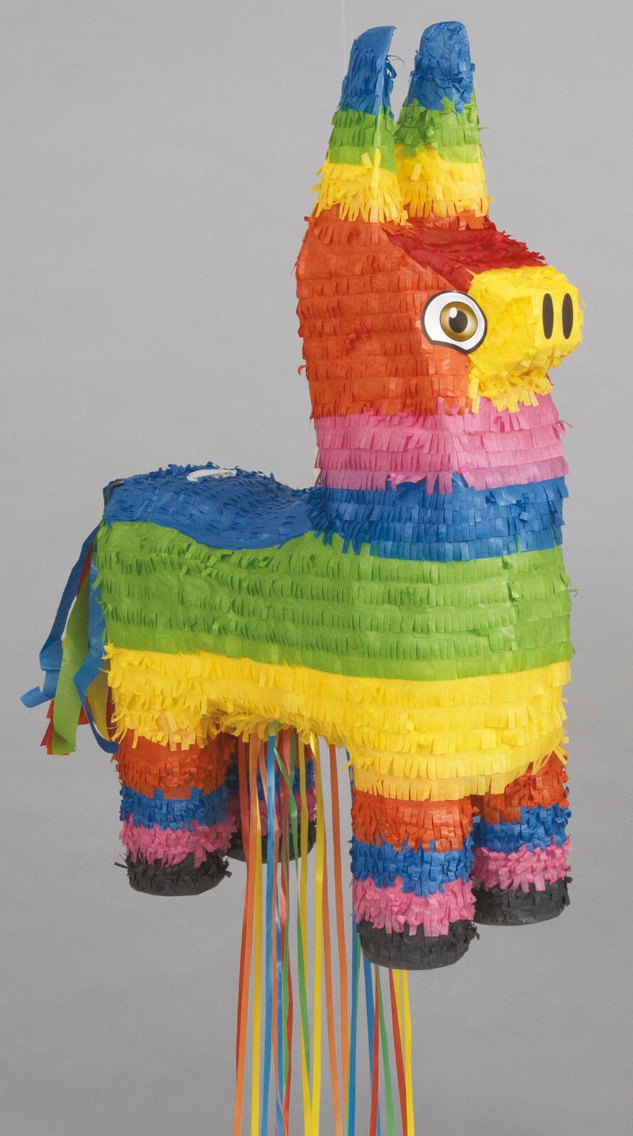 baudet ane mexicain arc en ciel fete