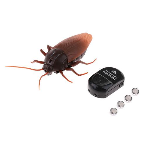cafard telecommande jouet tromper halloween hallucin terrifi