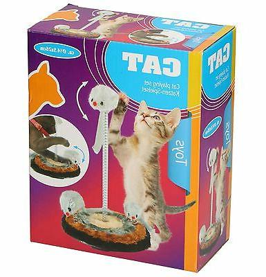 chat jouer kit jouets rat chaton facile