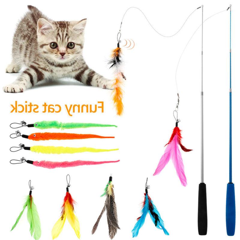 chat plume baguette baton fil teaser chaton