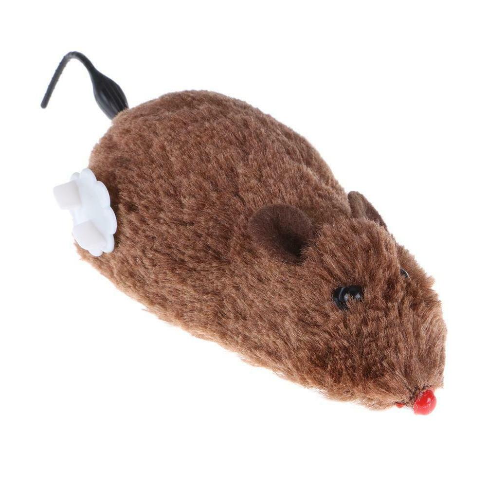 clockwork souris jouet pour chat jouet pour