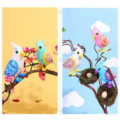 controle sonore gazouillis chant oiseau peut siffler