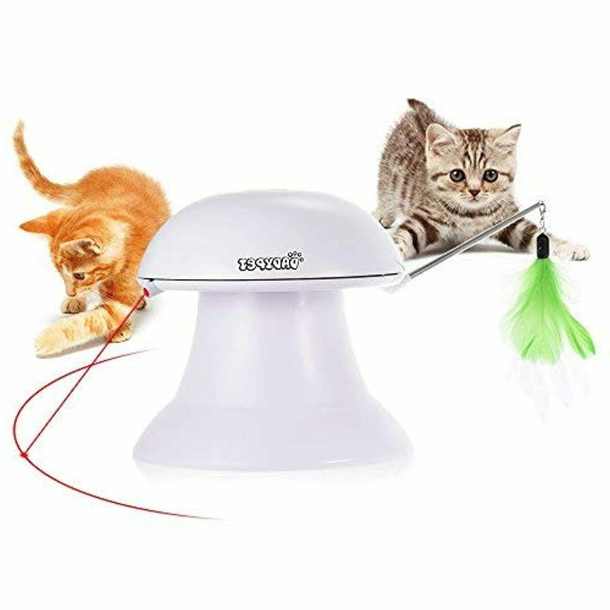 dadypet jouet pour chat jouet electronique automatique