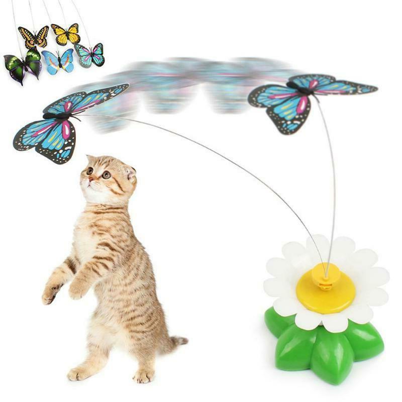 jouet chat interactif jeu papillon intelligent en