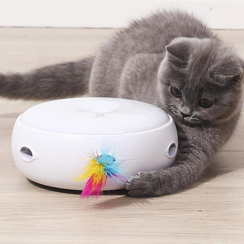 jouet chat jouet intelligent pour chat a