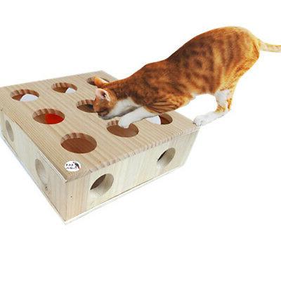 jouet interactif pour chat avec boules cache