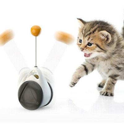 jouet interactif pour chat balle de chat