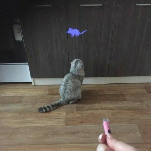 jouet laser pour chat