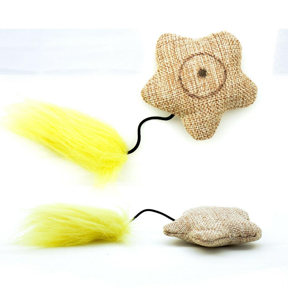 jouet naturel pour chat chaton l etoile