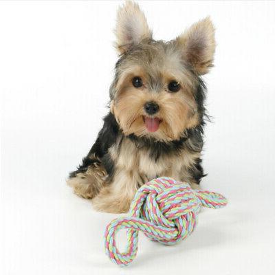jouet pour chien a macher interactif meilleurs