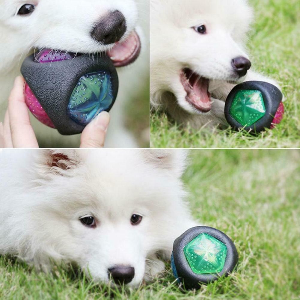 lumineux chien balle caoutchouc pour animaux de
