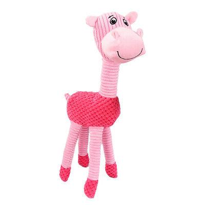 pet dog squeaky chew dents nettoyage jouets