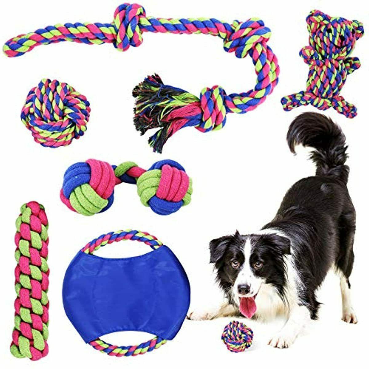 phyles jouets pour chien lot de 6