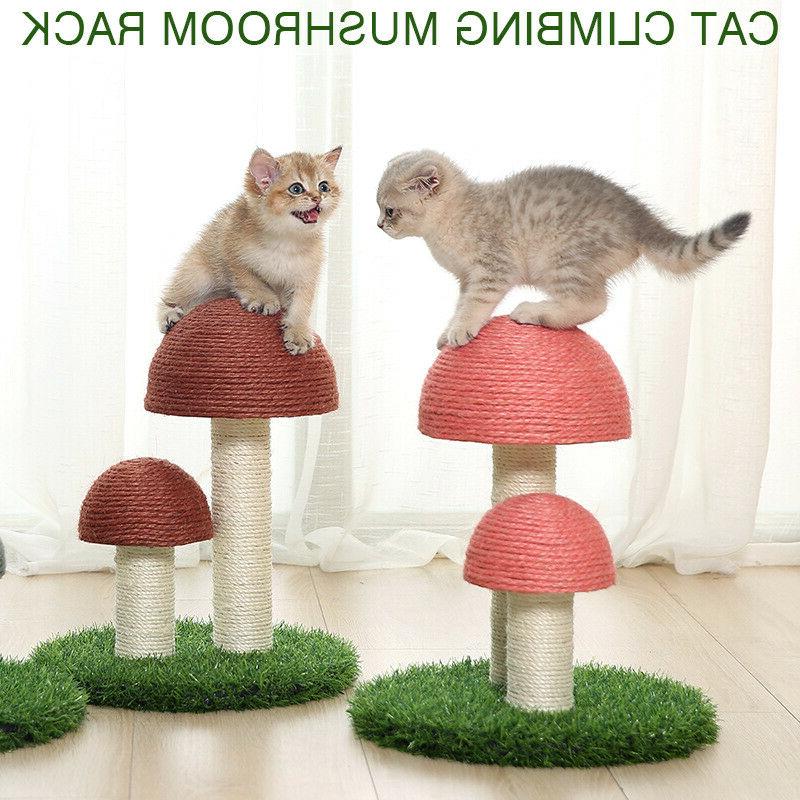 pour chat d interieur cadre escalade poteau