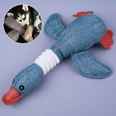 quack quack sound wild goose pet cat
