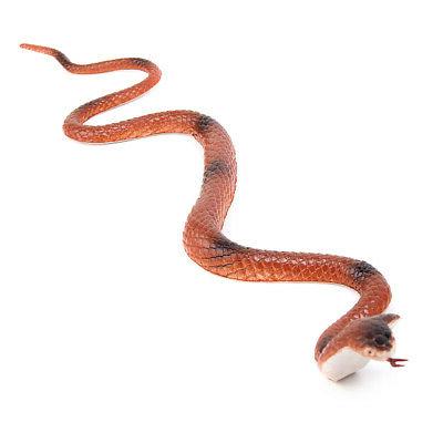 serpent caoutchouc jouet enfant truc jardin halloween