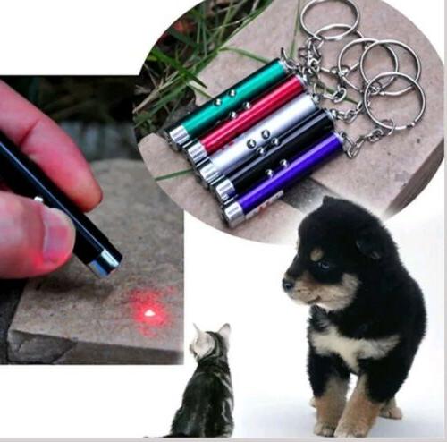 stylo laser pointeur porte cle chat chien