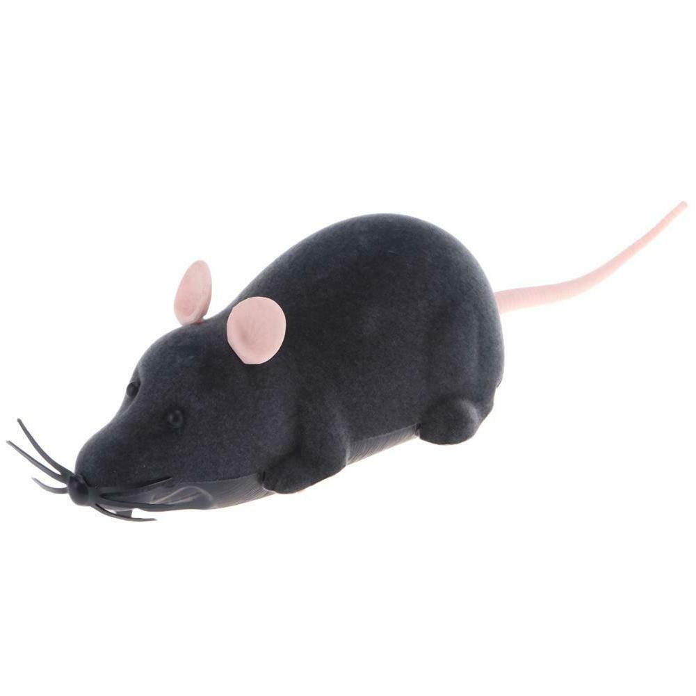 telecommande rc rat souris jouet pour chat