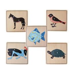 Montessori 5 casse-t&ecirc;te squelette d'animaux pour b&eacute;b&eacute; enf